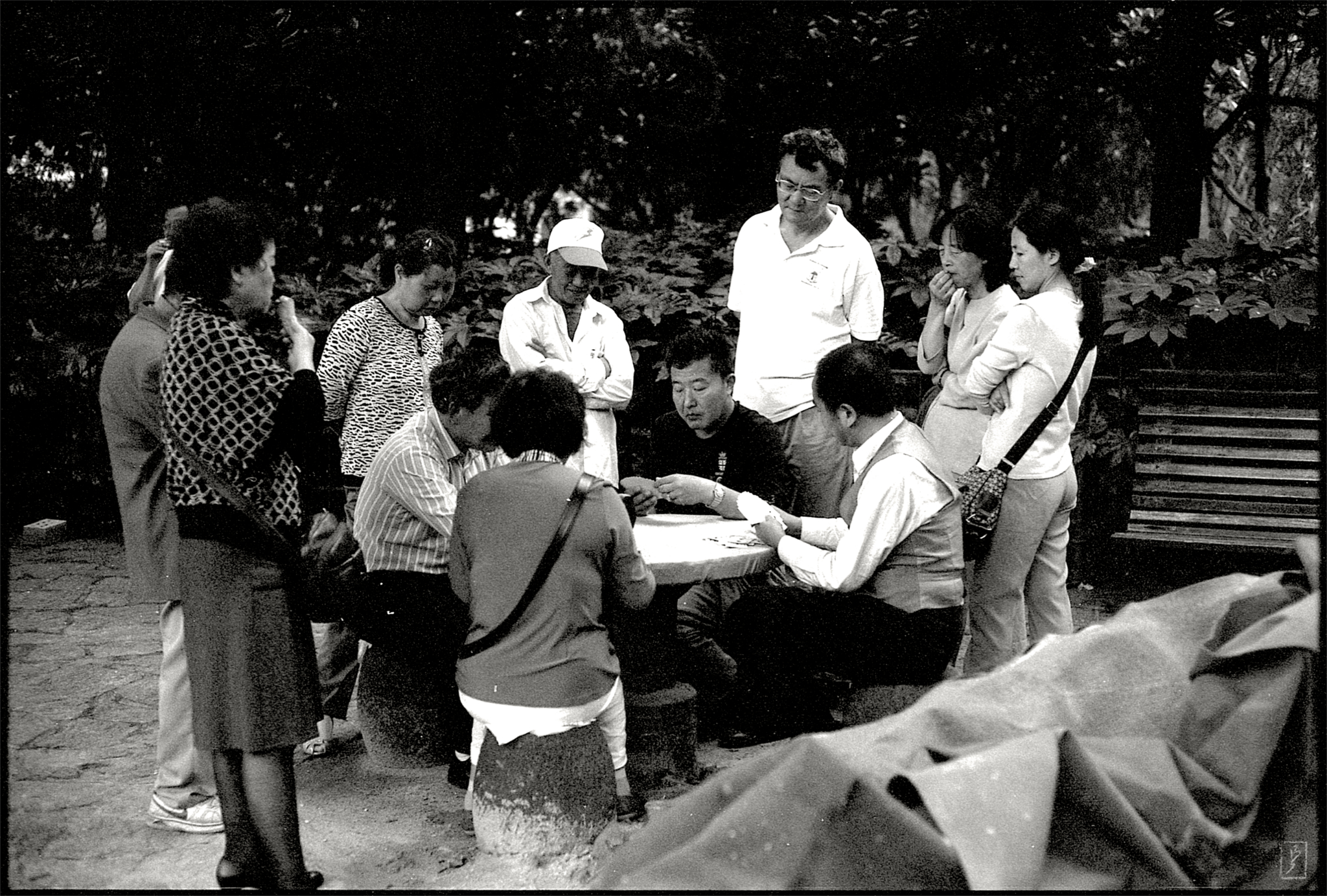 Lu Xun park (鲁迅公园): People watching others play cards.