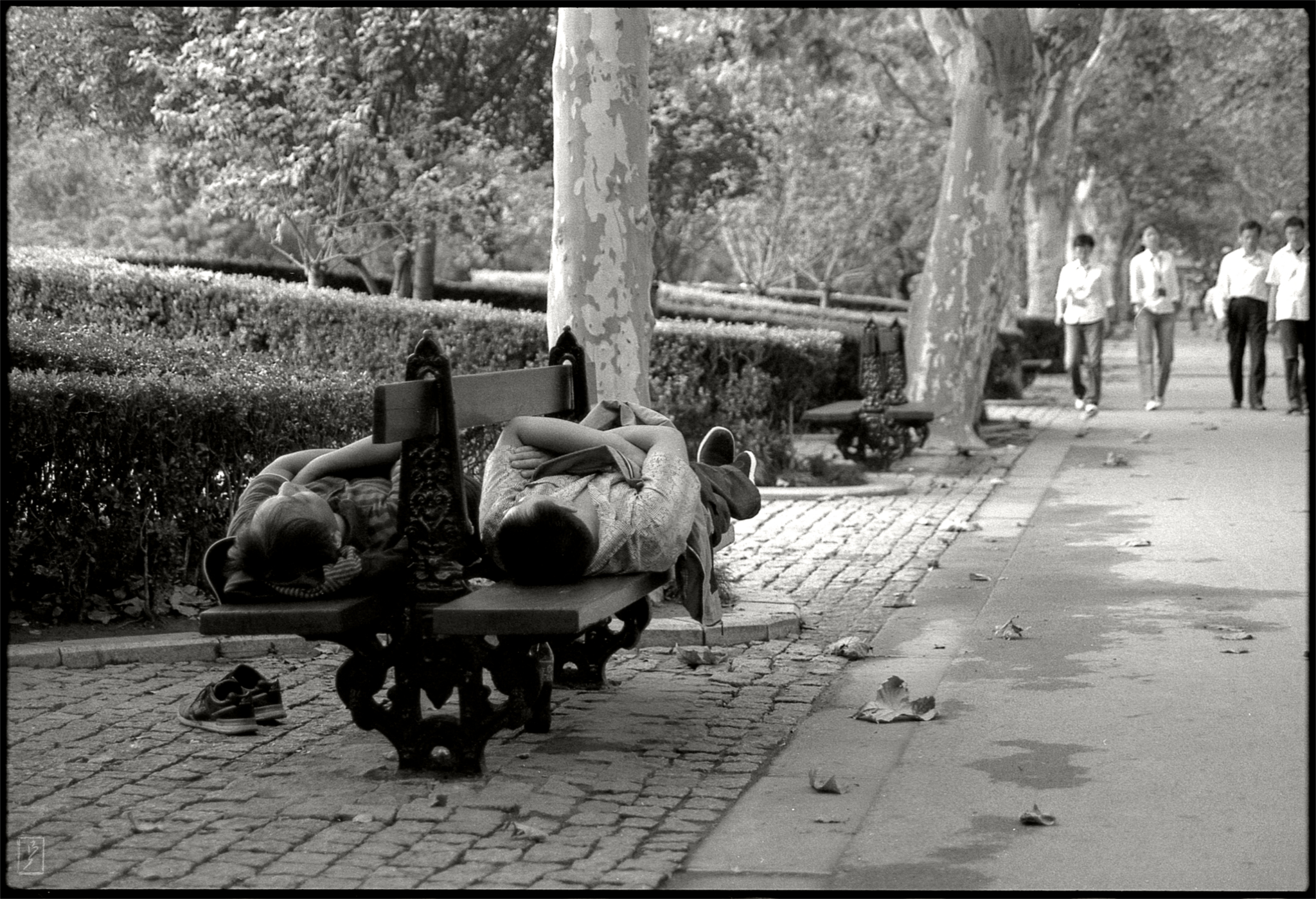 Fuxing park (复兴公园): Lunchtime nap on a bench.