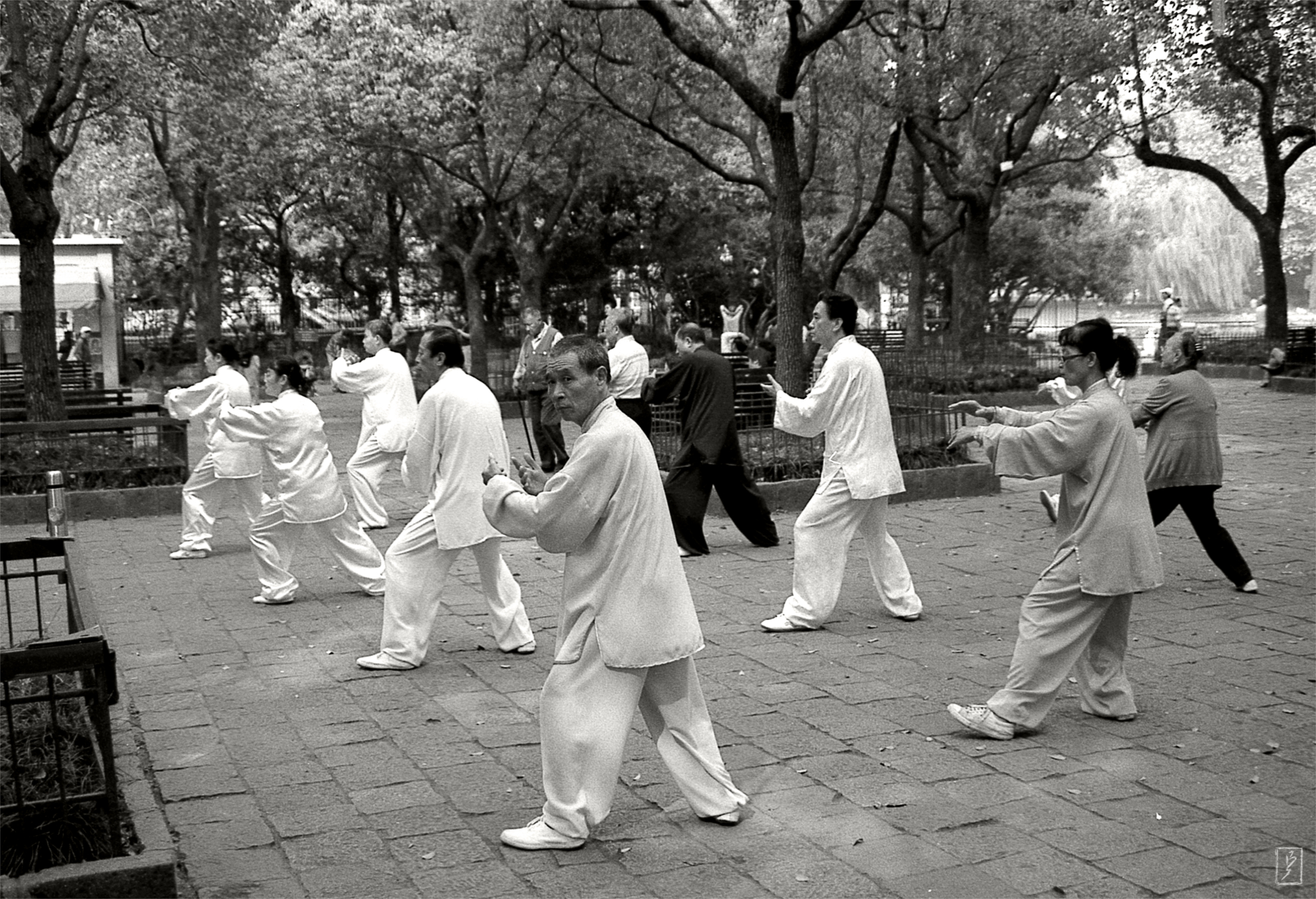 Lu Xun park (鲁迅公园): Taiji group practice.