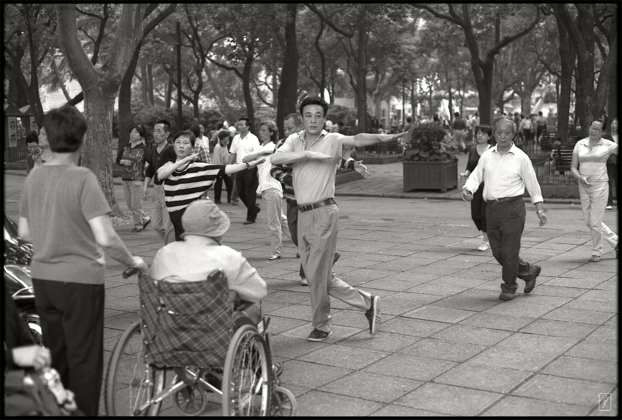 Lu Xun park (鲁迅公园): Line dance.