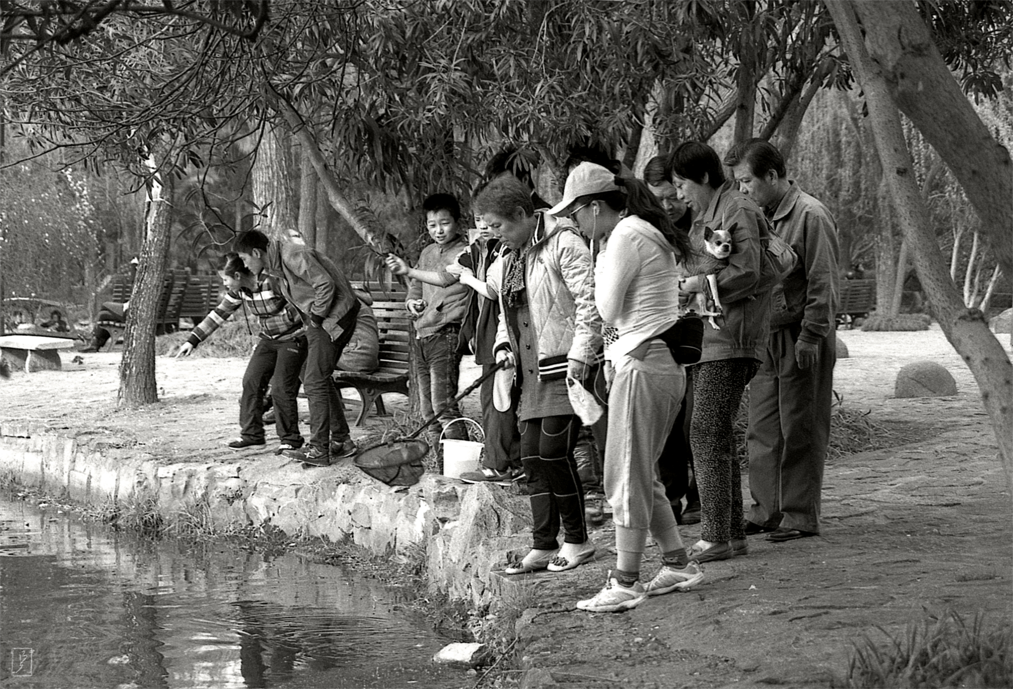 Lu Xun park (鲁迅公园): Visitors of the park discovered something in the water.